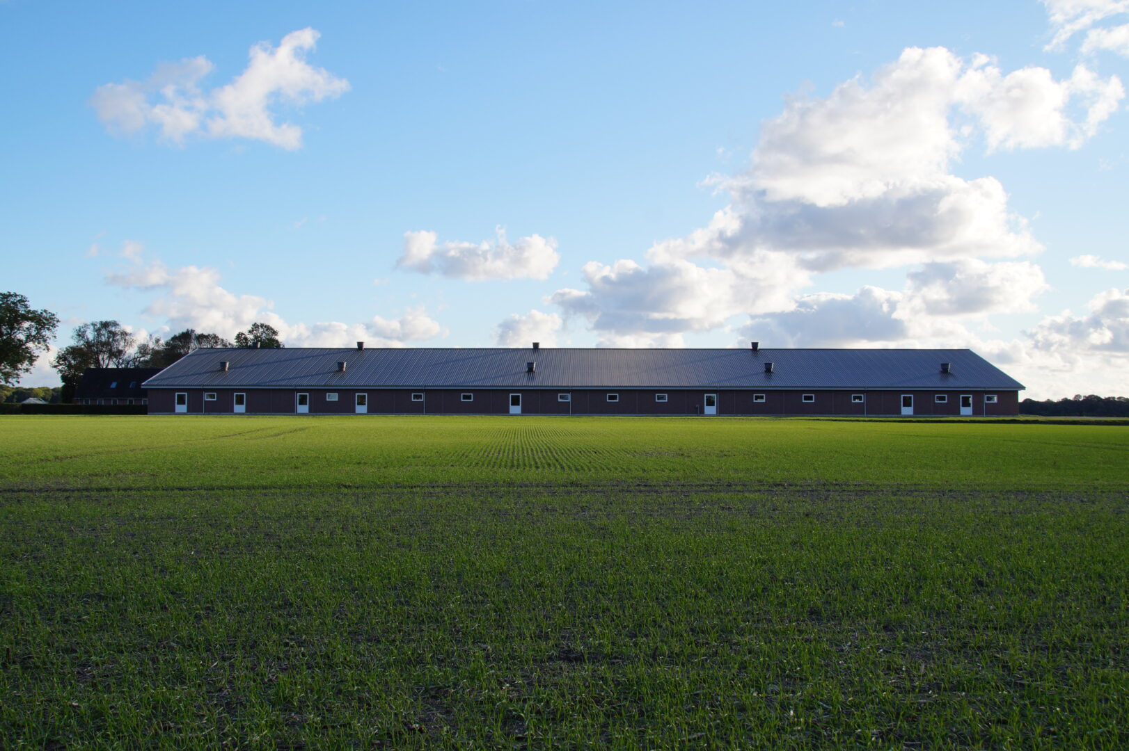 To maskiner høster på en af Møgelholt besætninger